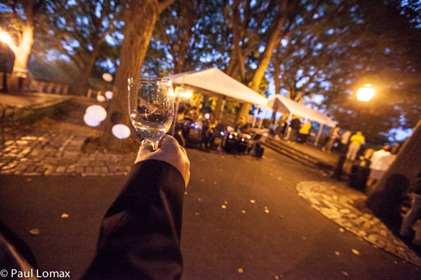 A Toast to Fort Tryon Park