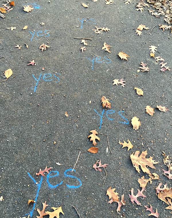 Inwood Hill Park - Little Yes