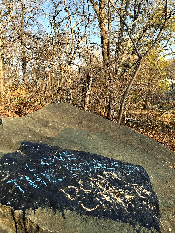 Inwood Hill Park - Love the forest