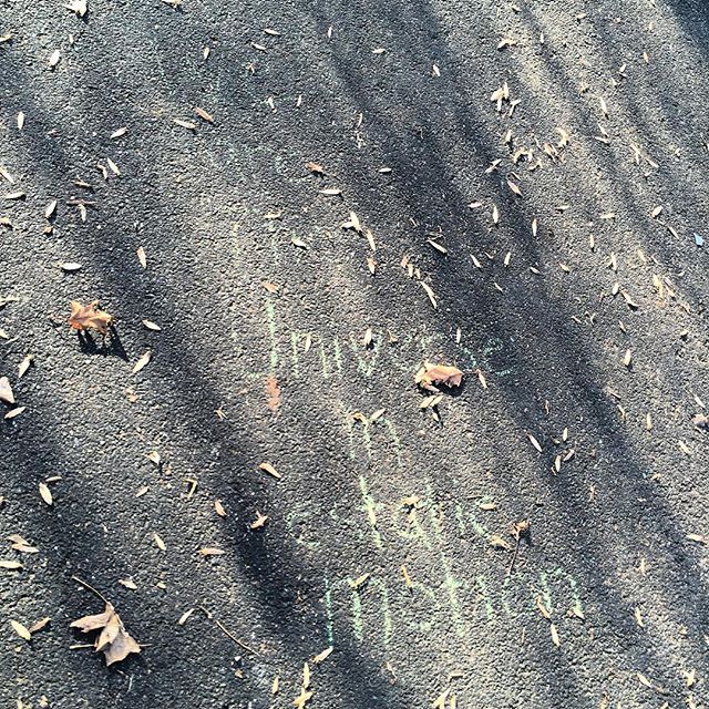 Nature Art - Inwood Hill Park - Motion