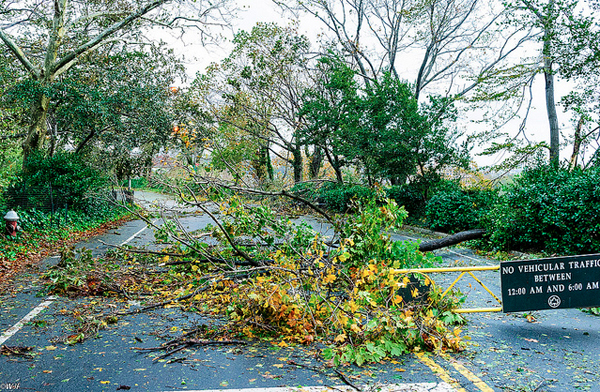 Hurricane Sandy - Washington Heights