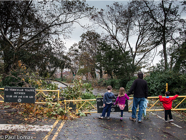 Hurricane Sandy - Paul Lomax