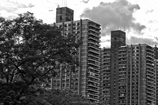 Bridge Apartments - Washington Heights
