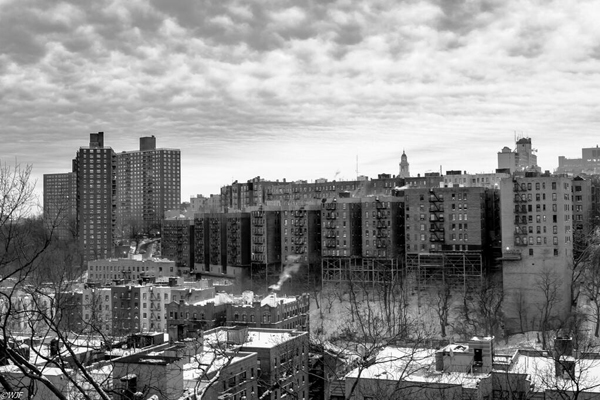 Washington Heights Vista