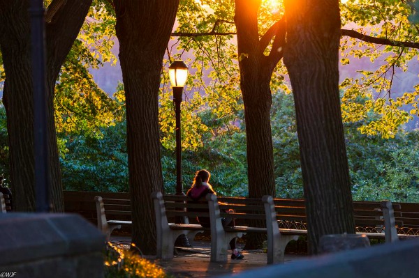 Sunset in Fort Tryon Park - Washington Heights - Wallace Flores